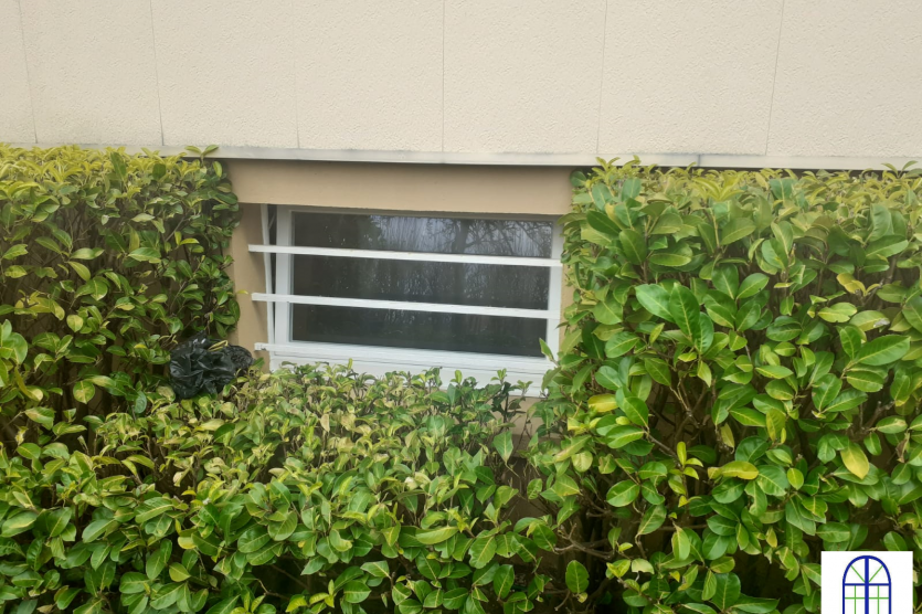 Porte de garage et fenêtre à Seichamps
